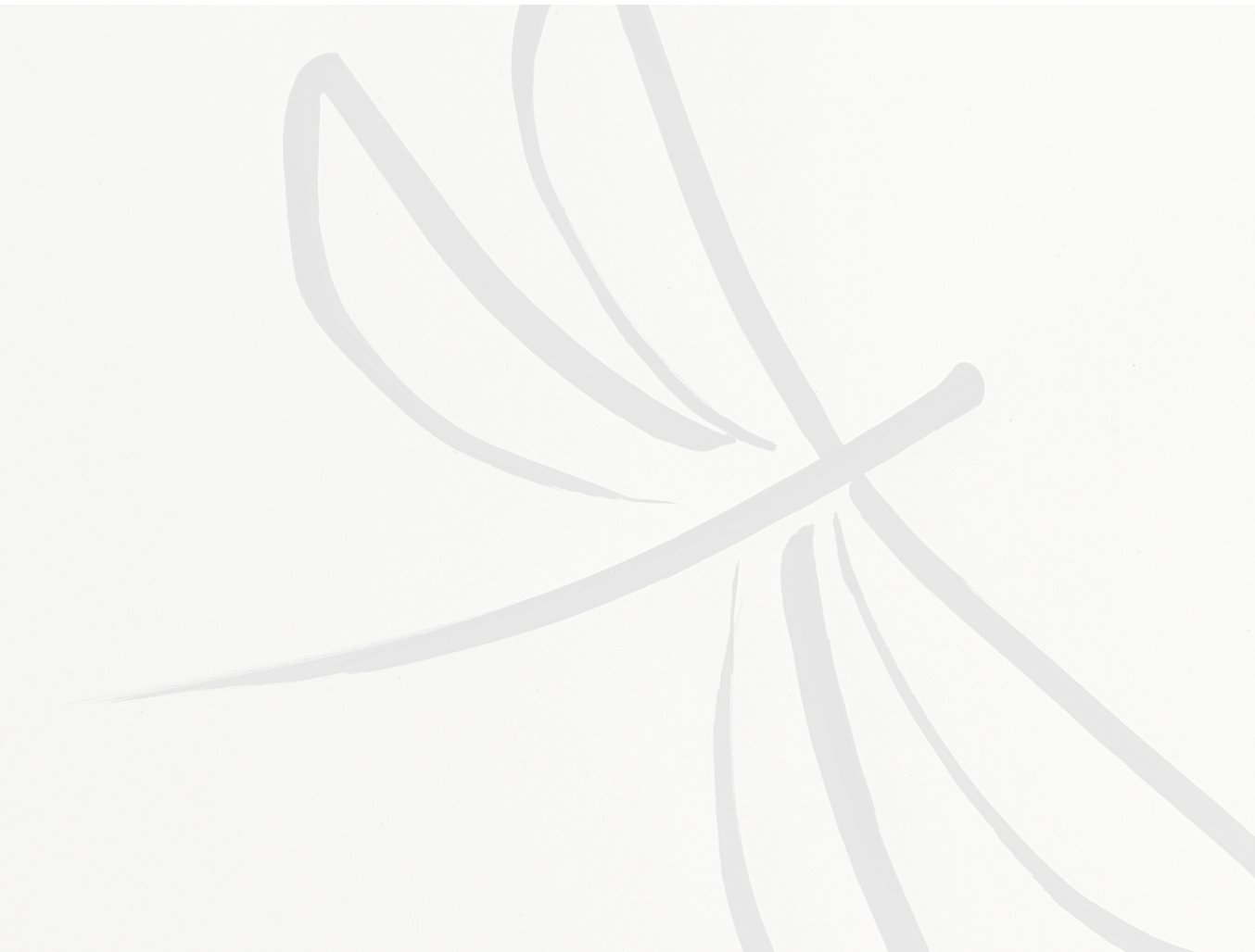 Nazanin - feine Kunst aus dem Kölner Süden